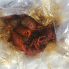 Best Crawfish in Opelika, AL