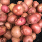 Best Potato in Opelika, AL