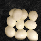 Best Egg in Opelika, AL